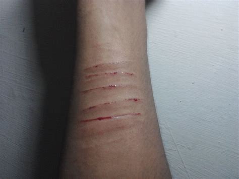 Hand Cut Lover Boy