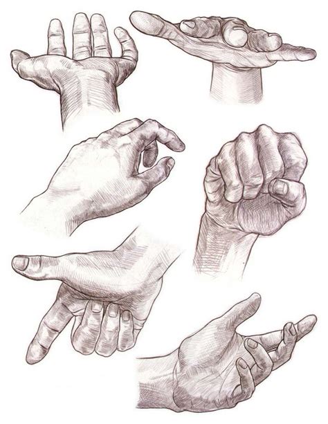 Hand Drawing Ref   Sketchdaily Reference Site - Hand Drawing Ref
