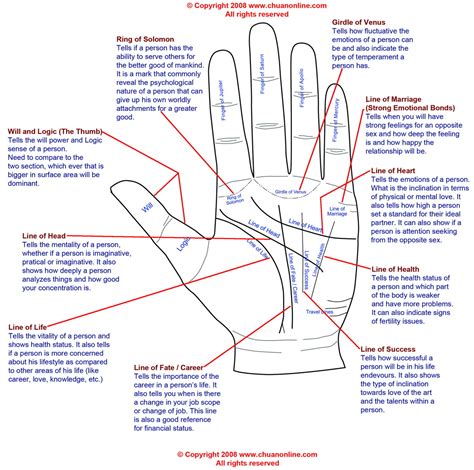 Hand Reading Lines