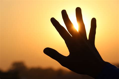 hand sunset