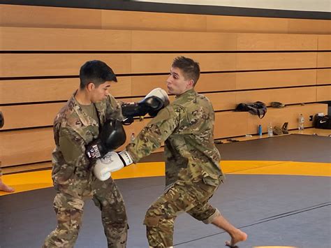 Read Online Hand To Hand Combat And The Use Of Combatives Skills An Analysis Of United States Army Post Combat Surveys From 2004 2008 
