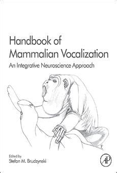 Handbook Of Mammalian Vocalization Pdf Free Ebooks Online Vocal Anatomy Worksheet - Vocal Anatomy Worksheet