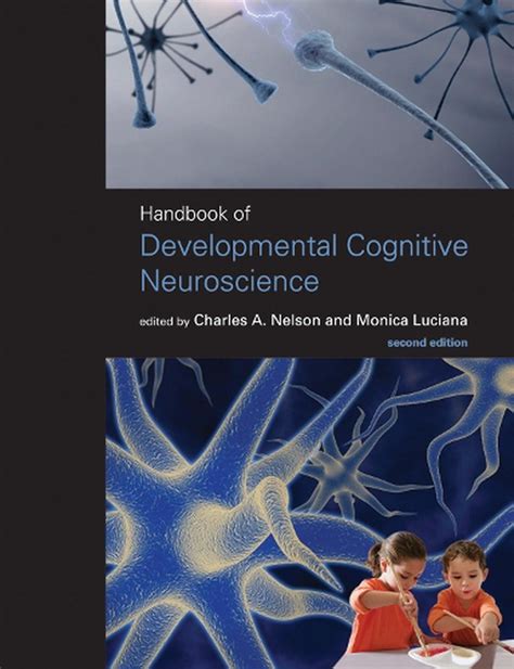 Read Online Handbook Of Cognitive Neuroscience 1St Edition 