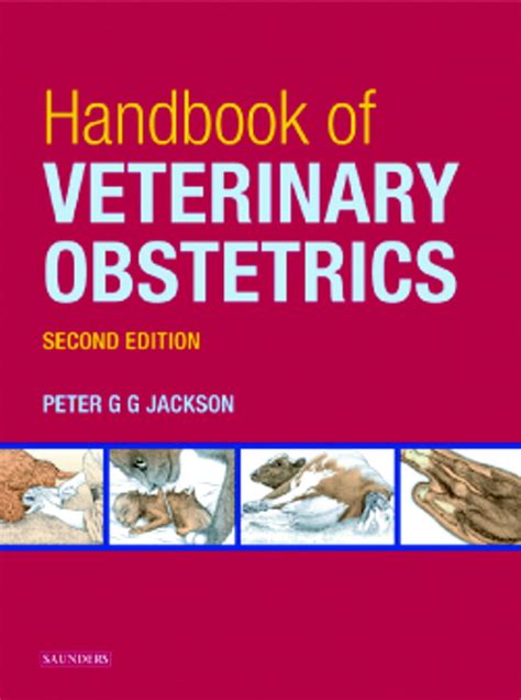 Read Online Handbook Of Veterinary Obstetrics 2Nd Edition 