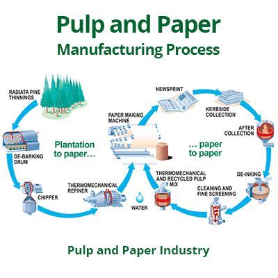 Full Download Handbook Pulp And Paper Process 