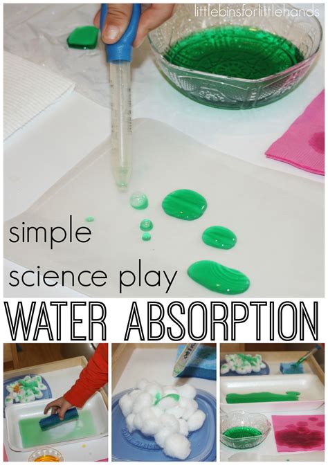 Hands On Science Water Absorption Experiment Kids Activities Sponge Absorption Science Experiment - Sponge Absorption Science Experiment