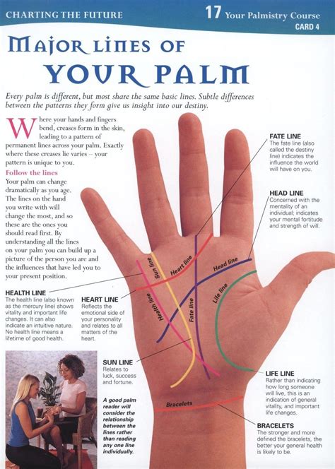 hands. Palm reading