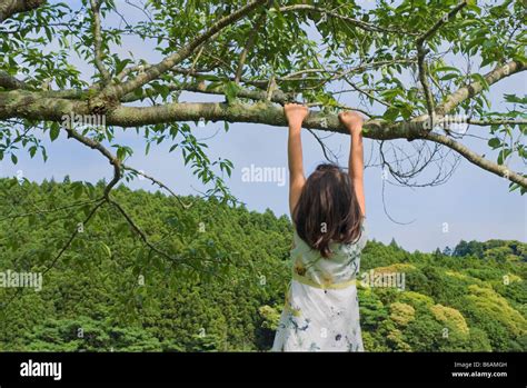 Hanging By A Tree