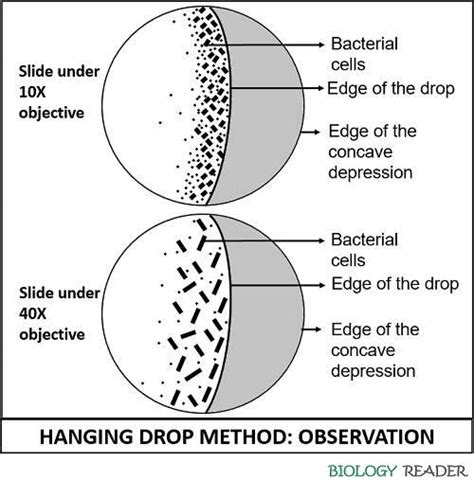 Hanging Drop Method