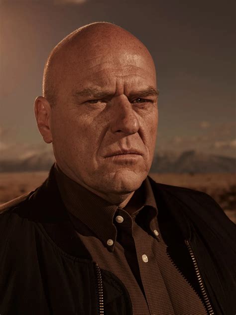 Hank Breaking Bad