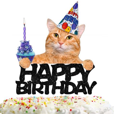 Happy Birthday Cats   Happy Birthday Cat Photos Download The Best Free - Happy Birthday Cats
