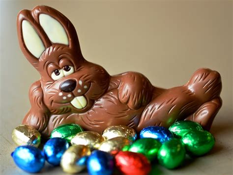 happy easter chocolate bunny