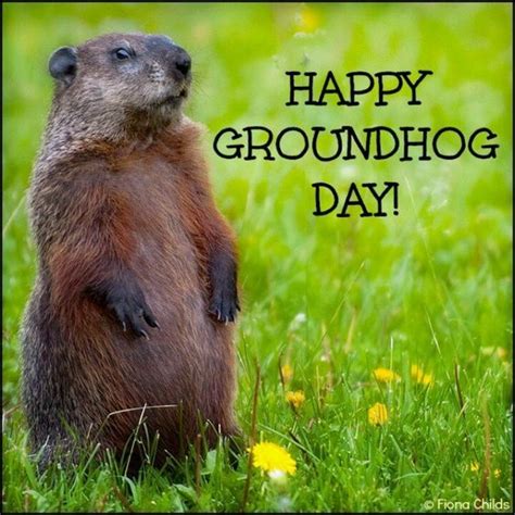 Happy Ground Hog Day 2024 Warmup Drawing Eryckwebbgraphics Ground Hog Coloring Pages - Ground Hog Coloring Pages