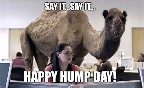 Happy Hump Day