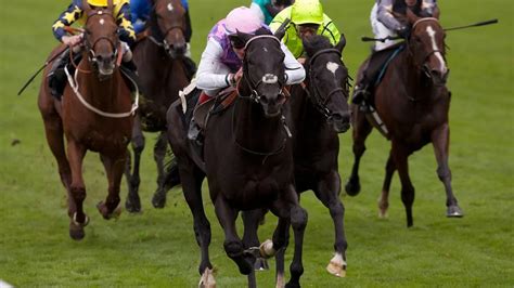hardwicke stakes 2013 thomas chippendale biography