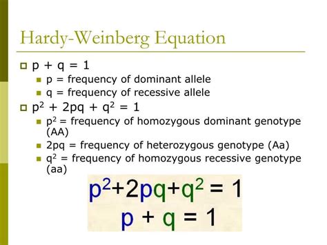 Hardy Weinberg Equation Answer Key Pogil