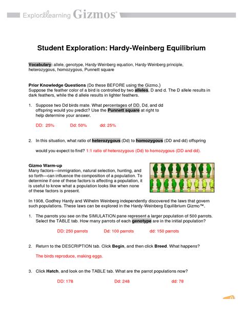 Hardy Weinberg Equilibrium Gizmo Answer