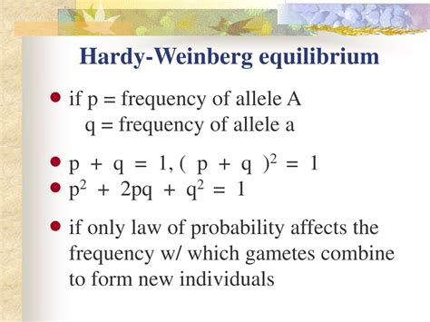 Hardy Weinberg Equilibrium Lab