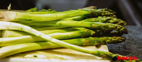 harga asparagus 1 kg