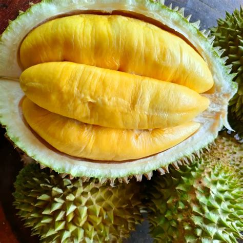 harga durian musang king