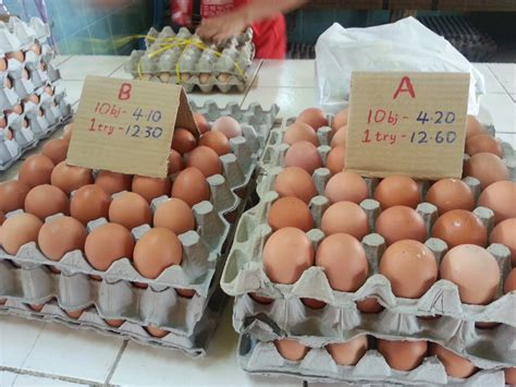 harga telur ayam hari ini