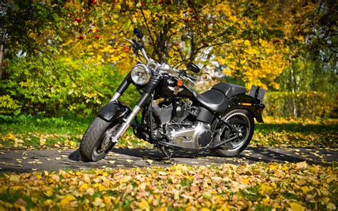 Read Online Harley Davidson Wallpaper Downloads 