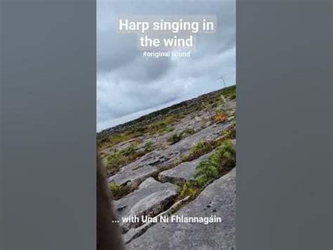 harp singing in the wind - YouTube