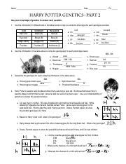 Harry Potter Genetics Answer Key