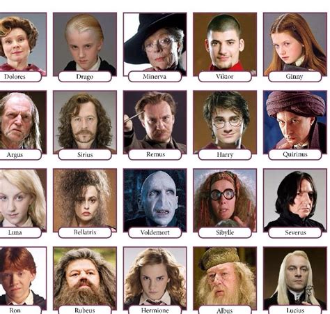 Harry Potter Important Characters