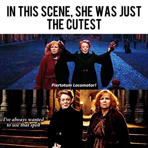 Harry Potter Memes