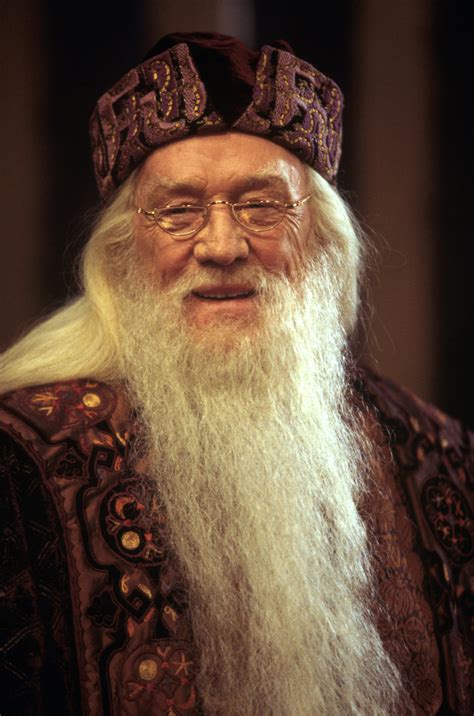 Harry Potter Prof Dumbledore