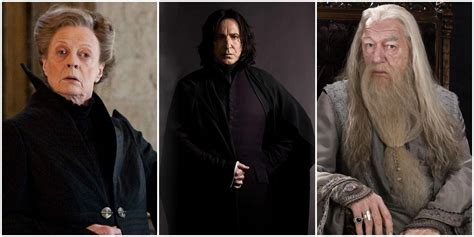 Harry Potter Professor Characters