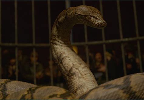 Harry Potter Snake