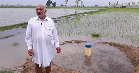 Haryana Farmersu0027 Unique Solution To Save Their Crops - Elang88