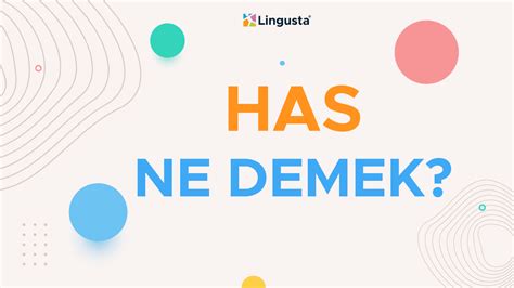 Has Ne Demek