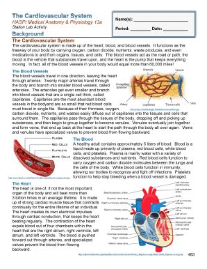 Read Online Haspi Cardiovascular System Answers 