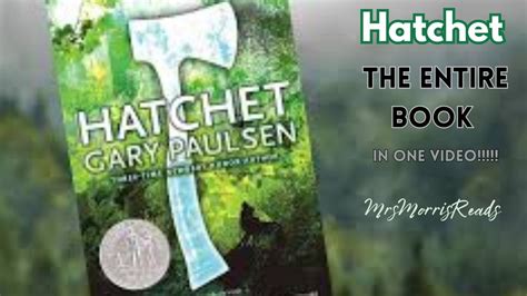 Hatchet Book Cliff Notes