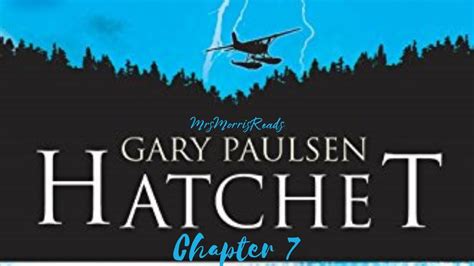 Hatchet Chapter 7