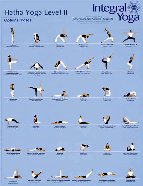 Hatha Yoga Sequence