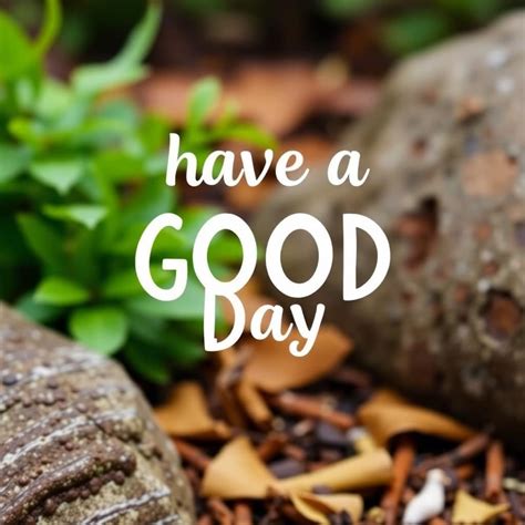 Have A Good Day