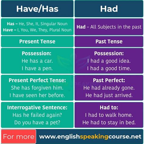 have and has use in english