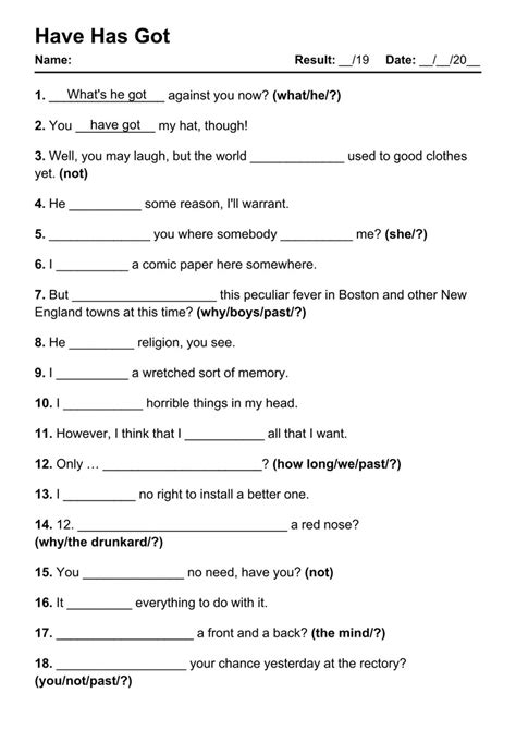 Have Got Has Got Exercises