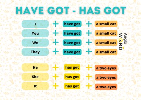 Have Got Y Has Got