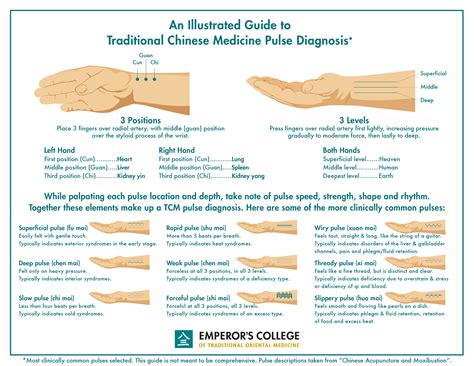 have your finger on the pulse Definitions and Synonyms