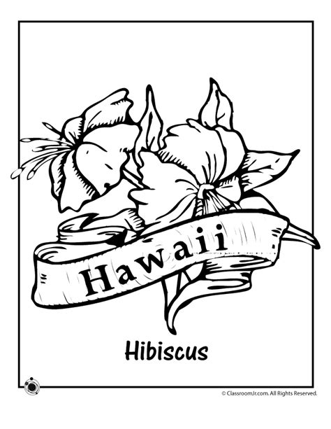 Hawaii State Flower Coloring Page Hawaii State Bird Coloring Page - Hawaii State Bird Coloring Page