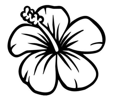 Hawaiian Flowers Black And White Drawing