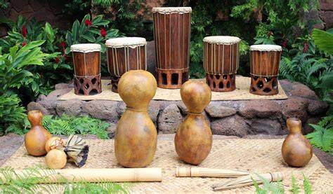 hawaiian instruments