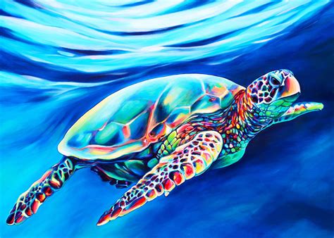 hawaiian turtle
