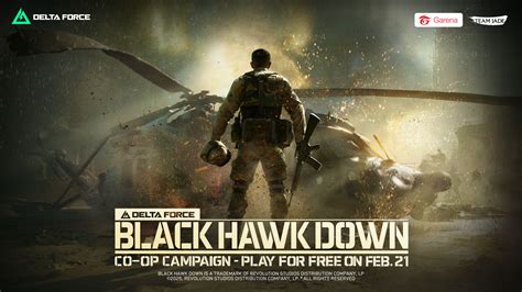 Hawk Black Down