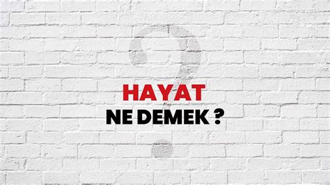 hayat Nedir Ne Demek.